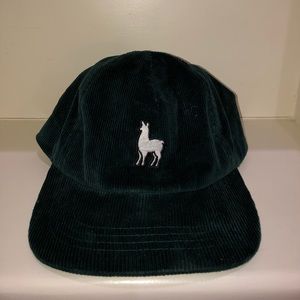 Flat bill corduroy lama ball cap